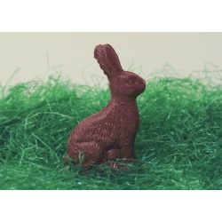 Sitting Easter Bunny